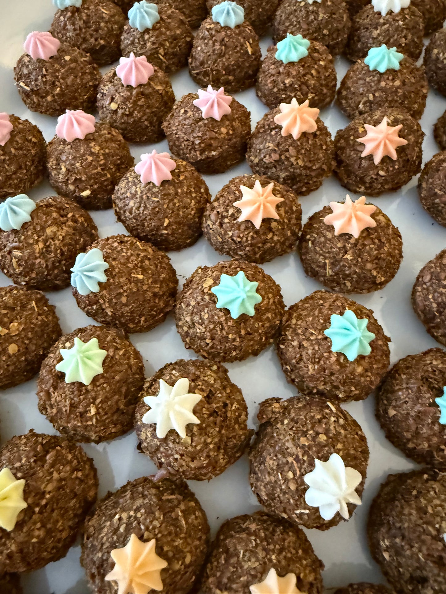 2. Low Sugar Horse Cookies