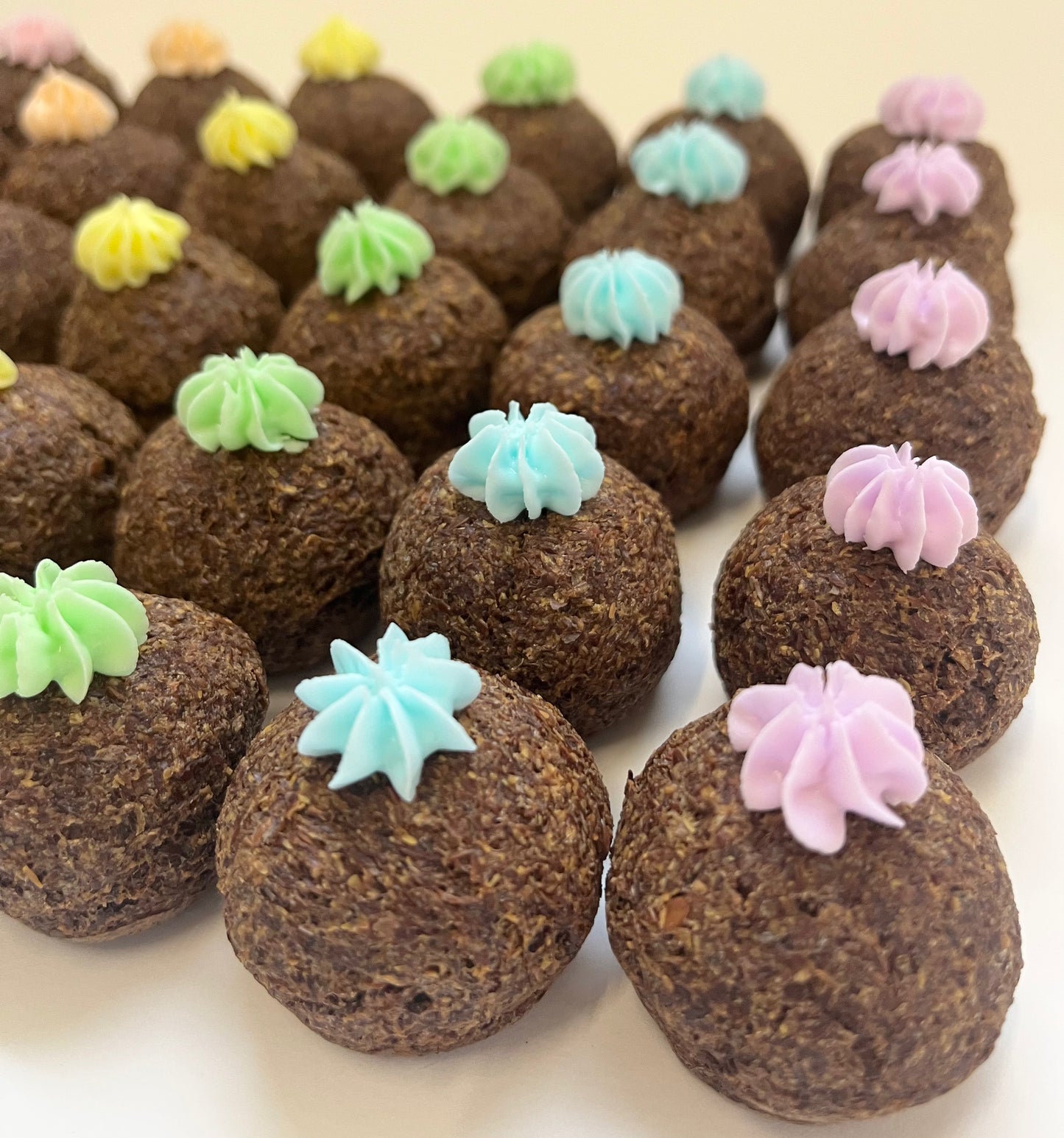 2. Low Sugar Horse Cookies