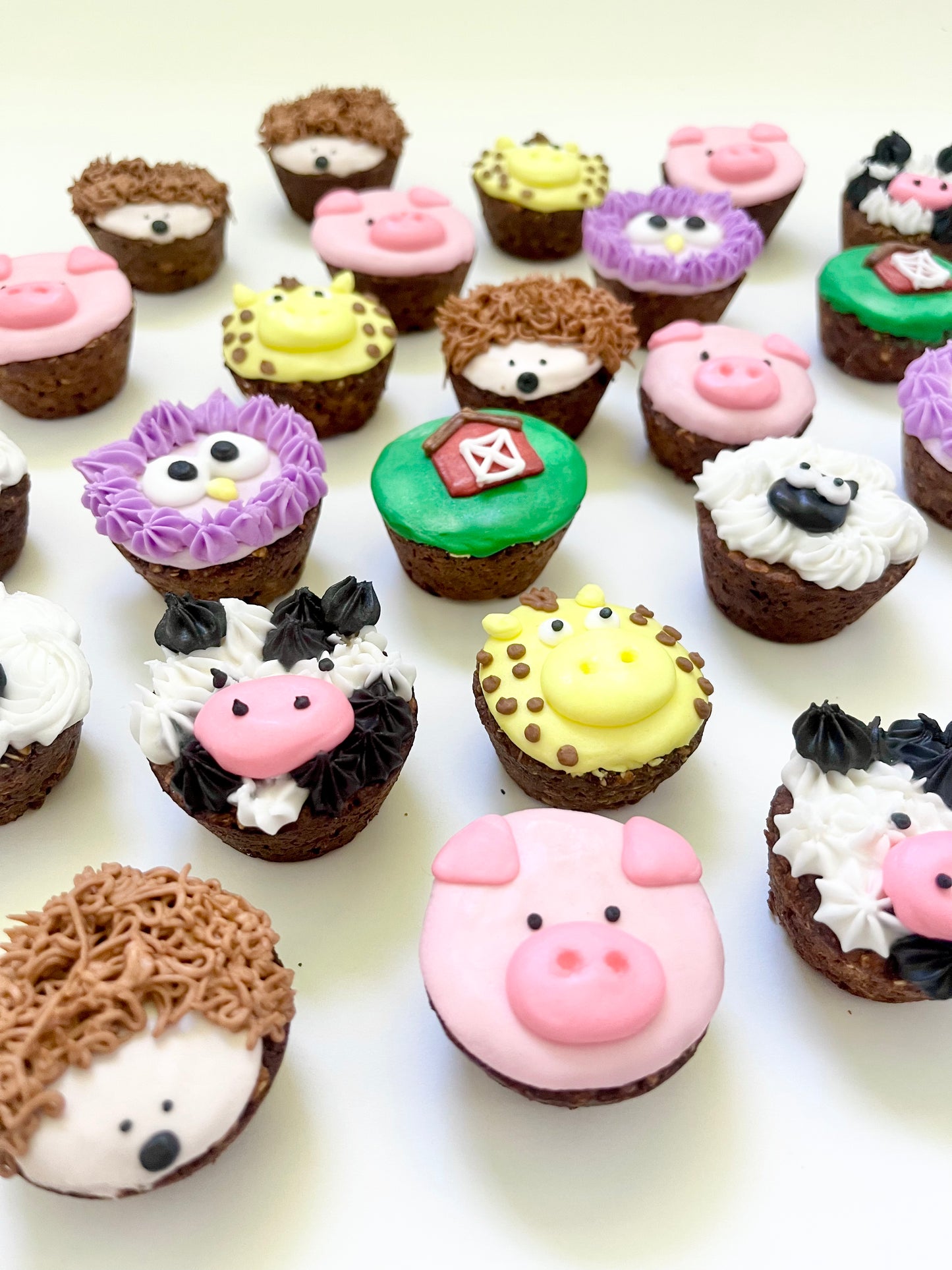 4. Monthly Horse Cookie Subscription