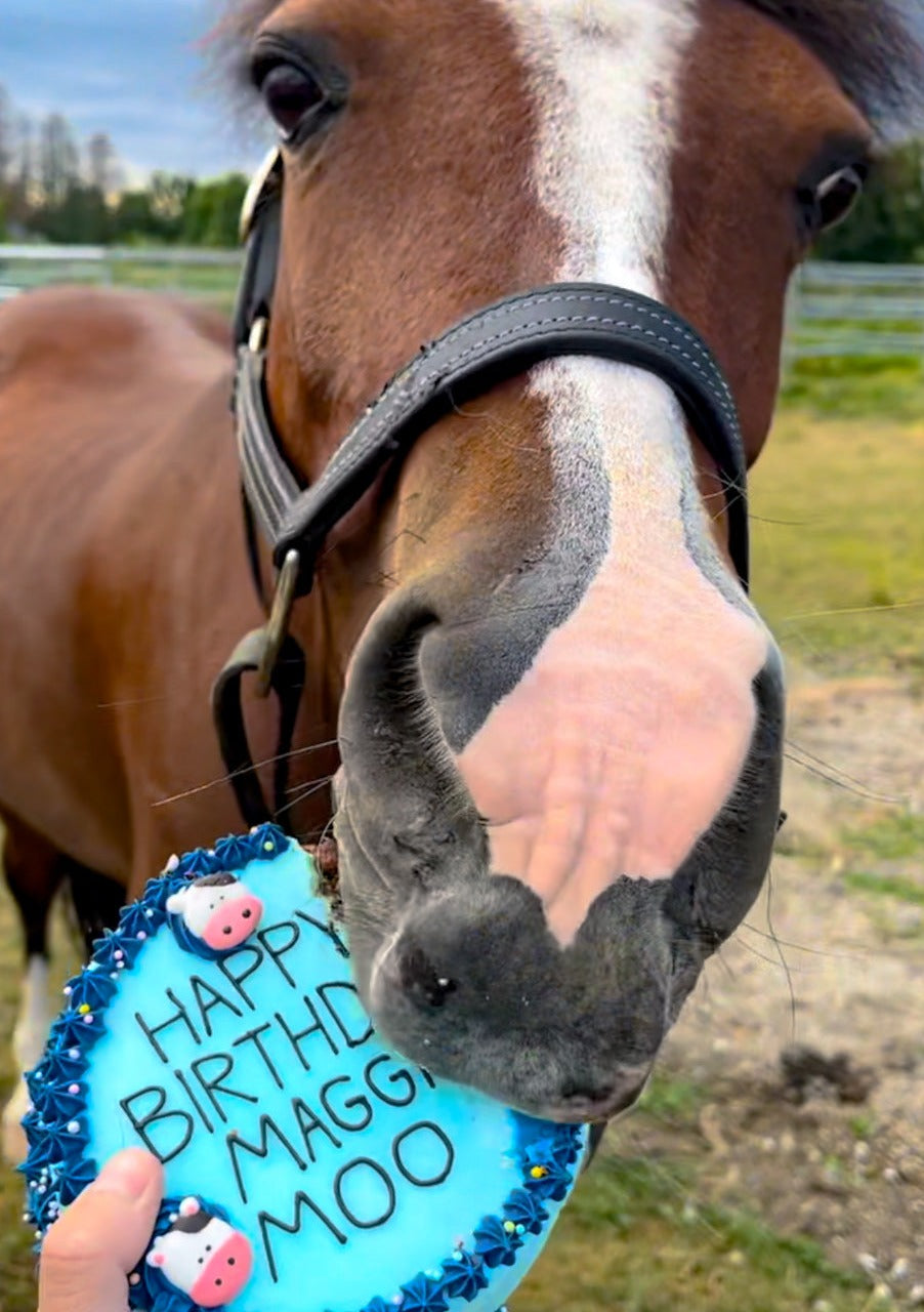 6. Custom Horse Cake (no shipping available)