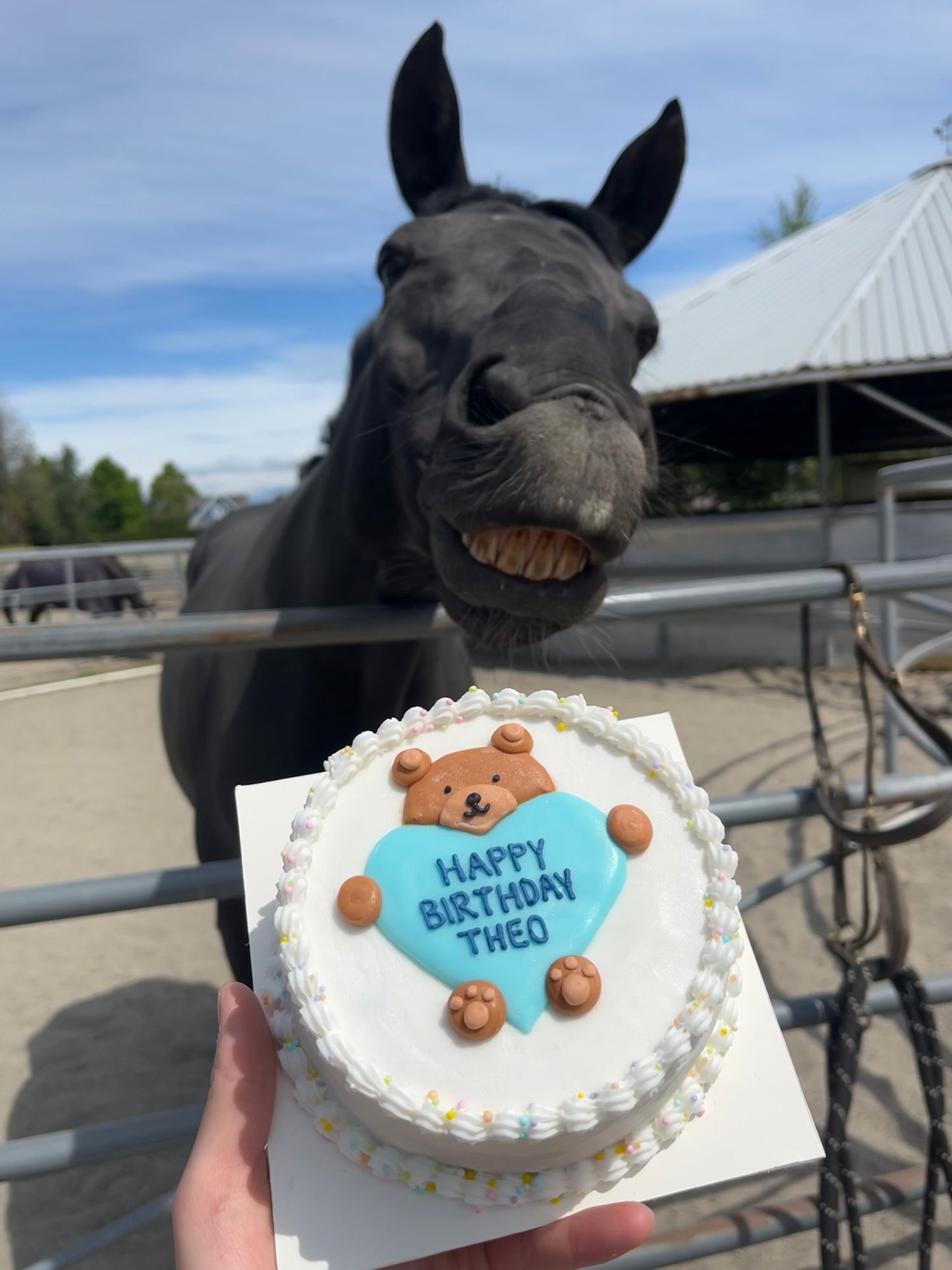6. Custom Horse Cake (no shipping available)
