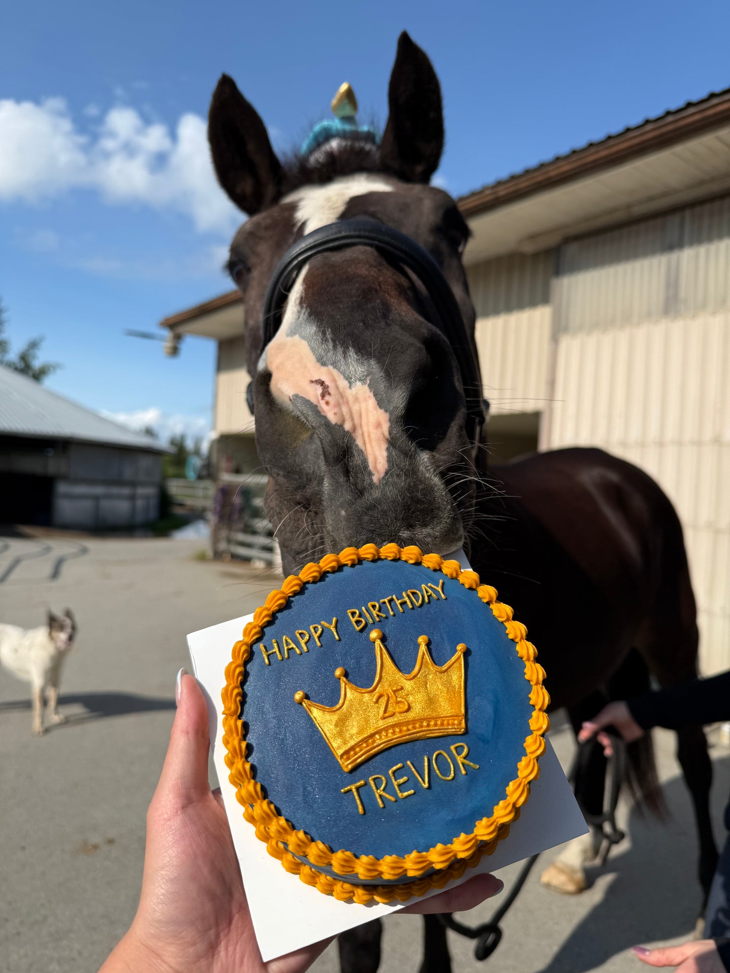 6. Custom Horse Cake (no shipping available)