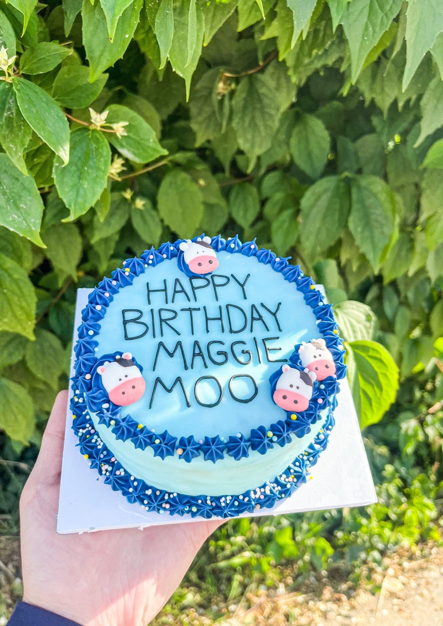 6. Custom Horse Cake (no shipping available)