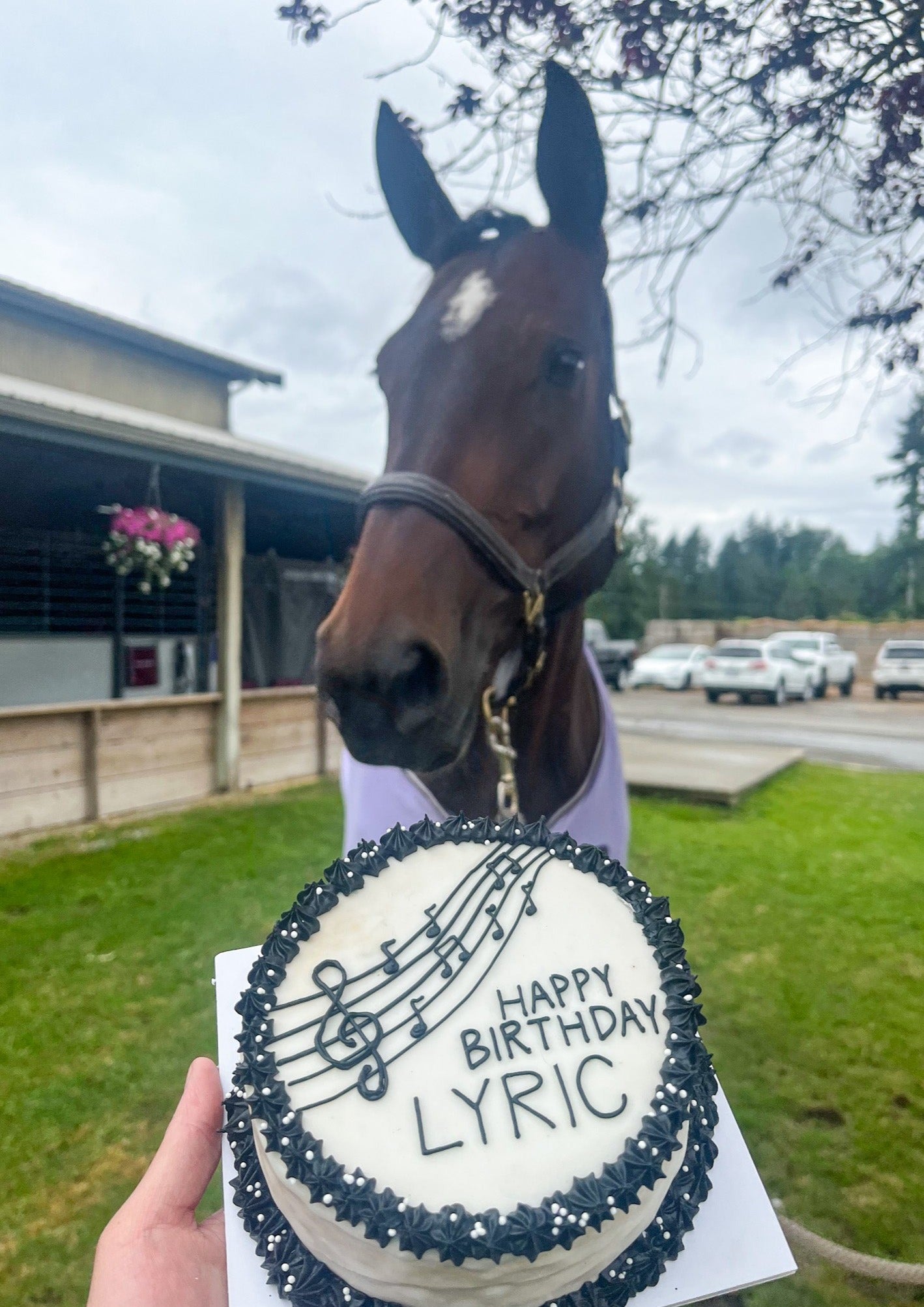 6. Custom Horse Cake (no shipping available)